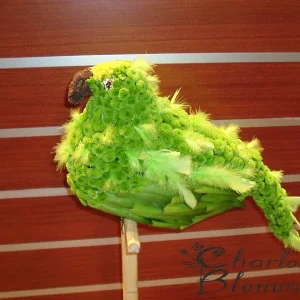 Pappegoja i färska blommor