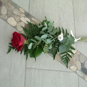 Röd ros med grönt och vit duva