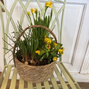 Floristens vårplantering stor