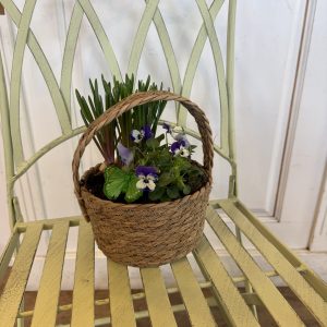 Floristen vårplantering liten