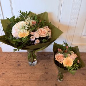 Välkommen till världen