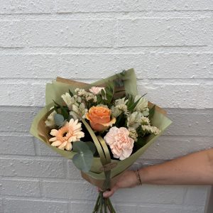 Ljus omtanke